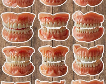 Dentures Fake Teeth Die Cut Vinyl Sticker Set – For Notebook, Laptop, Water Bottle & Scrapbooking