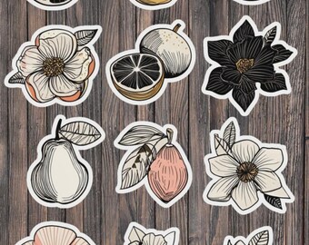May include: A collection of stickers featuring botanical illustrations of fruits and flowers. The stickers include a sliced lemon, pears, oranges, and various floral designs in a vintage style with black outlines and soft color fills.