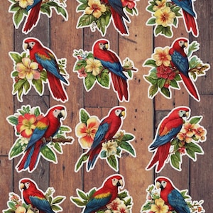 Vintage Style Macaw Parrot Die Cut Vinyl Sticker Set | Funny Sticker | Laptop Sticker | Water Bottle Sticker | Notebook Sticker