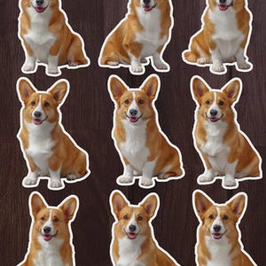 Corgi Dog Die Cut Sticker Set | Funny Sticker | Laptop Sticker | Water Bottle Sticker | Notebook Sticker