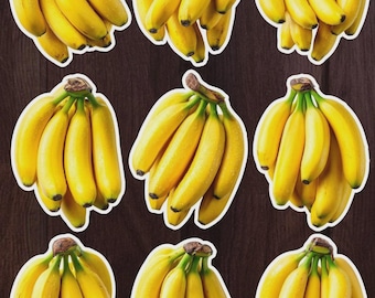 Bunch of Bananas Vinyl Die Cut Sticker Set | Funny Sticker | Laptop Sticker | Water Bottle Sticker | Notebook Sticker