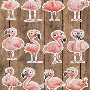 Funny Flamingos Vinyl Die Cut Sticker Set Funny Sticker Laptop Sticker Water Bottle Sticker Notebook Sticker