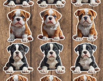 Baby Bulldog Vinyl Die Cut Sticker Set | Funny Sticker | Laptop Sticker | Water Bottle Sticker | Notebook Sticker