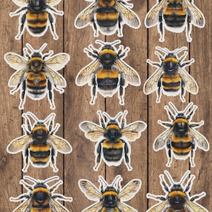 Honey Bee Die Cut Vinyl Sticker Set | Sticker | Laptop Sticker | Water Bottle Sticker | Notebook Sticker Scrapbooking