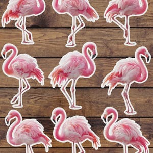 Pink Flamingo Vinyl Die Cut Sticker Set Funny Sticker Laptop Sticker Water Bottle Sticker Notebook Sticker