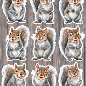 May include: Nine stickers featuring smiling squirrels with gray and brown fur, white bellies, and fluffy tails. The squirrels have orange ears and are set against a wood-grain background. The stickers are die-cut with a white border.