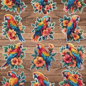 Parrot with Flowers Die Cut Vinyl Sticker Set Funny Sticker Laptop Sticker Water Bottle Sticker Notebook Sticker Scrapbooking