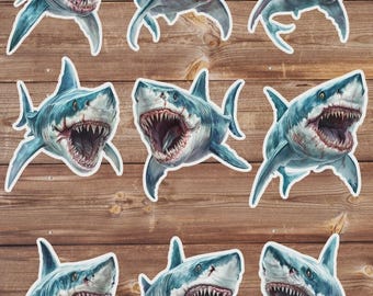 Scary Shark Vinyl Die Cut Sticker Set | Funny Sticker | Laptop Sticker | Water Bottle Sticker | Notebook Sticker
