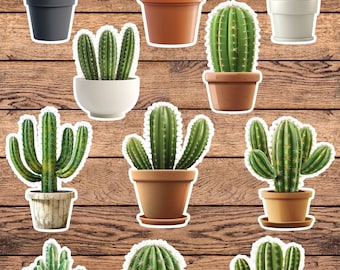Cactus Sticker Die Cut Vinyl Sticker Set – For Notebook, Laptop, Water Bottle & Scrapbooking