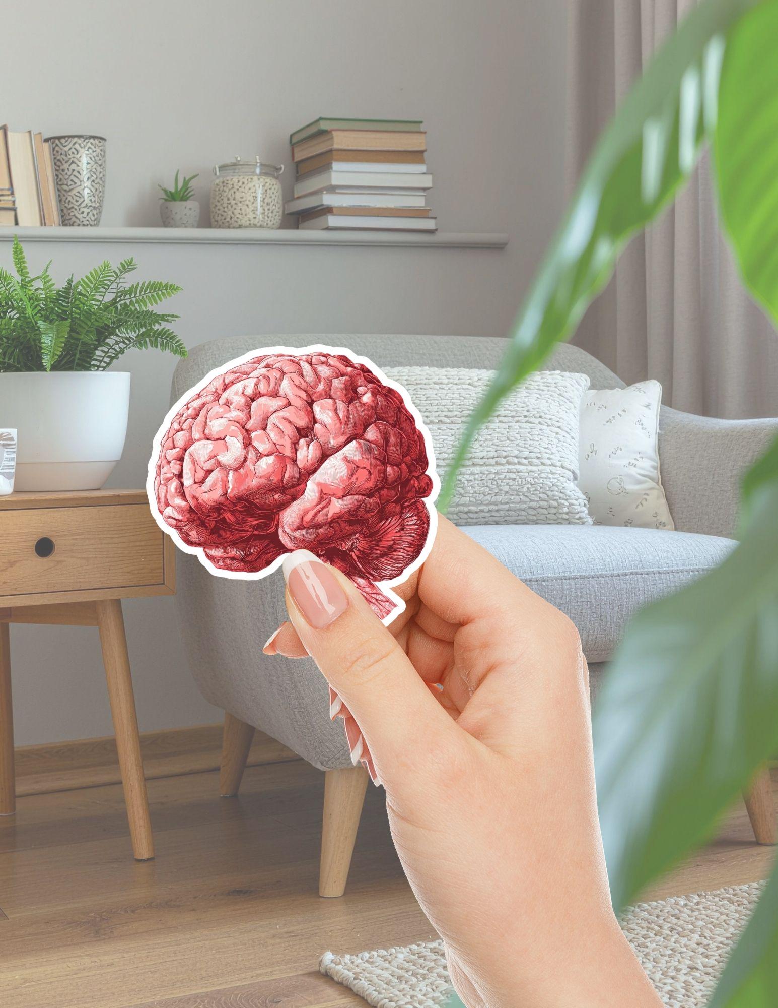 Brains Die Cut Vinyl Sticker Set – for Notebook, Laptop, Water Bottle ...