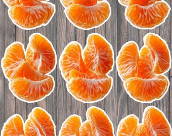 Mandarin Orange Die Cut Vinyl Stickers – Laptop, Water Bottle, Scrapbook Decals
