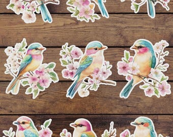 Colorful Bird Die Cut Vinyl Sticker Set – For Notebook, Laptop, Water Bottle & Scrapbooking