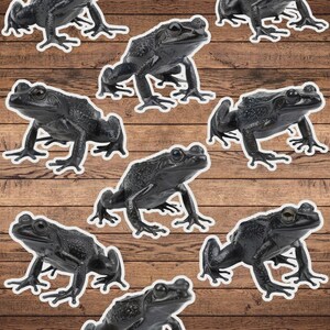 Black Frog Die Cut Sticker Set | Funny Sticker | Laptop Sticker | Water Bottle Sticker | Notebook Sticker