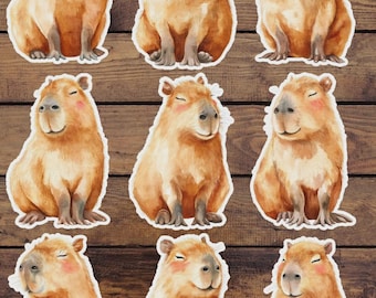 Capybara Vinyl Sticker Set | Water-Resistant Laptop Stickers