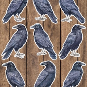 Raven Bird Vinyl Die Cut Sticker Set | Funny Sticker | Laptop Sticker | Water Bottle Sticker | Notebook Sticker