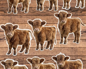 Baby Highland Cow Die Cut Sticker Set | Funny Sticker | Laptop Sticker | Water Bottle Sticker | Notebook Sticker