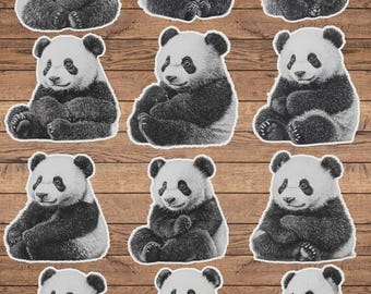 May include: A collection of twelve panda bear stickers. Each sticker features a detailed illustration of a panda bear in a seated position, with black and white fur. The stickers are arranged on a wooden background.