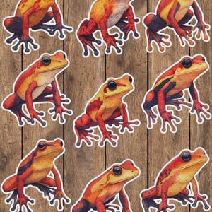 Red Frog Vinyl Die Cut Sticker Set | Funny Sticker | Laptop Sticker | Water Bottle Sticker | Notebook Sticker