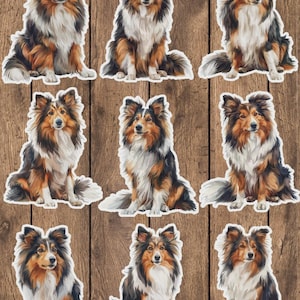 Sheltie Dog Vinyl Die Cut Sticker Set | Funny Sticker | Laptop Sticker | Water Bottle Sticker | Notebook Sticker