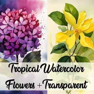 Watercolor Tropical Flowers and Leaves Clipart | Tropical plants | Summer flowers and leaves | Tropical plant clipart | Flowers Clipart |