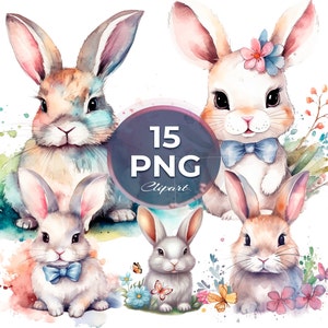 Cute Little Bunny Clipart, Bunnies, Bunny Adorable Clipart, Bundle Pack Set High Quality Illustration Png, Commercial Use Digital Download