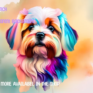 Maltese PNG,  watercolor, illustration, clipart design, tshirt printing, sublimation, stickers, transparent PNG download
