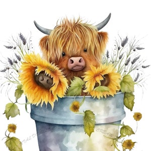 Highland Cow With Sunflowers [PNG] Digital Download