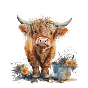 Highland longhaired Cow PNG, cute cow sublimation, flowers PNG graphic, watercolor clipart, cow baby, Highland calf PNG digital download