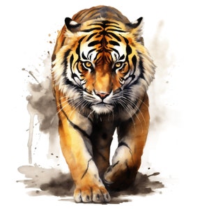 Watercolor Tiger PNG | DTG Printing | Instant download | T-shirt Sublimation Digital File Download l Transparent PNG Digital Design