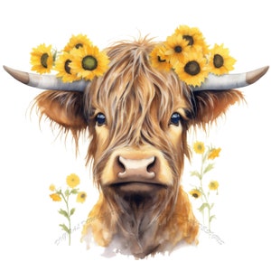 Highland Cow With Sunflowers [PNG] Digital Download