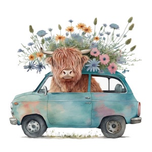 Highland longhaired Cow PNG, cute cow sublimation, flowers PNG graphic, watercolor clipart, cow baby, Highland calf PNG digital download