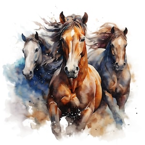 3 Pferde Png, Sublimationsdesign, Western, Sublimationspferd Transfer, digitale Downloads Aquarell handgezeichnet. mustang lack pony, pferd