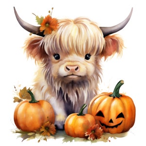 Kürbis Png Sublimation Design Download, süße Highland Kuh Png, Herbst Png, Herbst Png, Baby Highland Kuh Png Sublimation Design