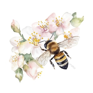 Watercolor Bumble Bee Clipart, spring garden bee clip art PNG graphics instant download for commercial use