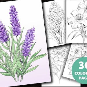 30 Printable Flower Coloring Pages, Coloring Book, Adults + Kids, Grayscale Coloring, Instant Download, Printable, A4 + US Letter, PDF