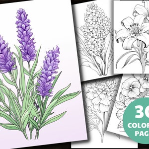 30 Printable Flower Coloring Pages, Coloring Book, Adults + Kids, Grayscale Coloring, Instant Download, Printable, A4 + US Letter, PDF