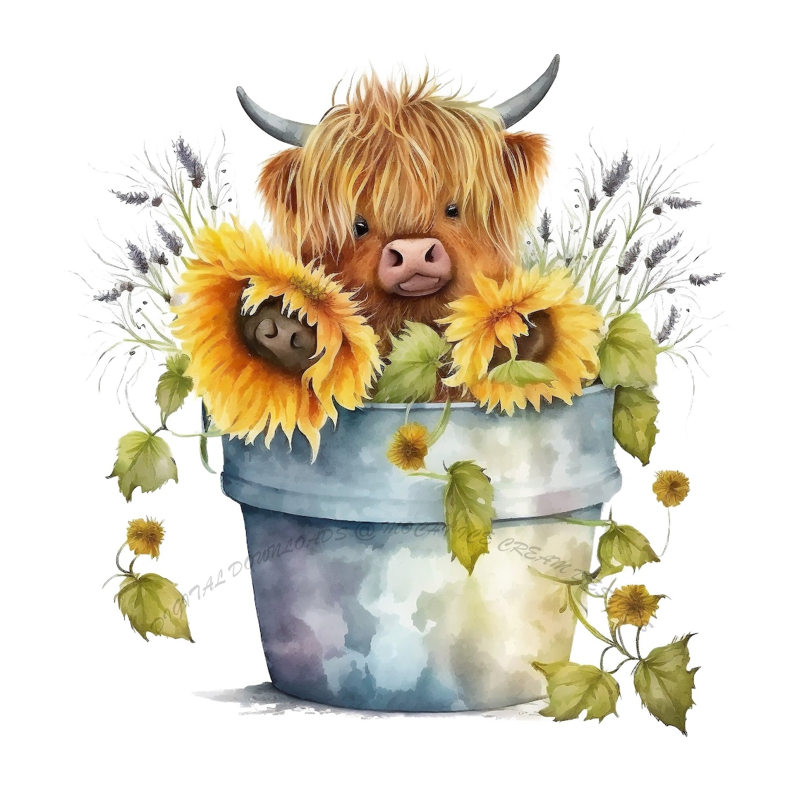 Highland Cow With Sunflowers [PNG] Digital Download - Etsy