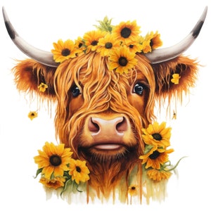 Highland Cow With Sunflowers [PNG] Digital Download