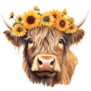 Highland Cow With Sunflowers [PNG] Digital Download