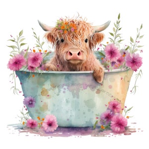 Highland longhaired Cow PNG, cute cow sublimation, metal tub PNG graphic, cowboy boot clipart, Highland calf PNG digital download