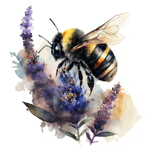Watercolor Bumble Bee Clipart, spring garden bee clip art PNG graphics instant download for commercial use