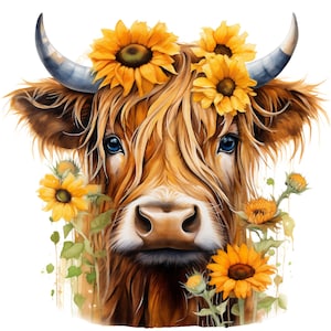 Vaca de las Tierras Altas con Girasoles [PNG] Descarga digital