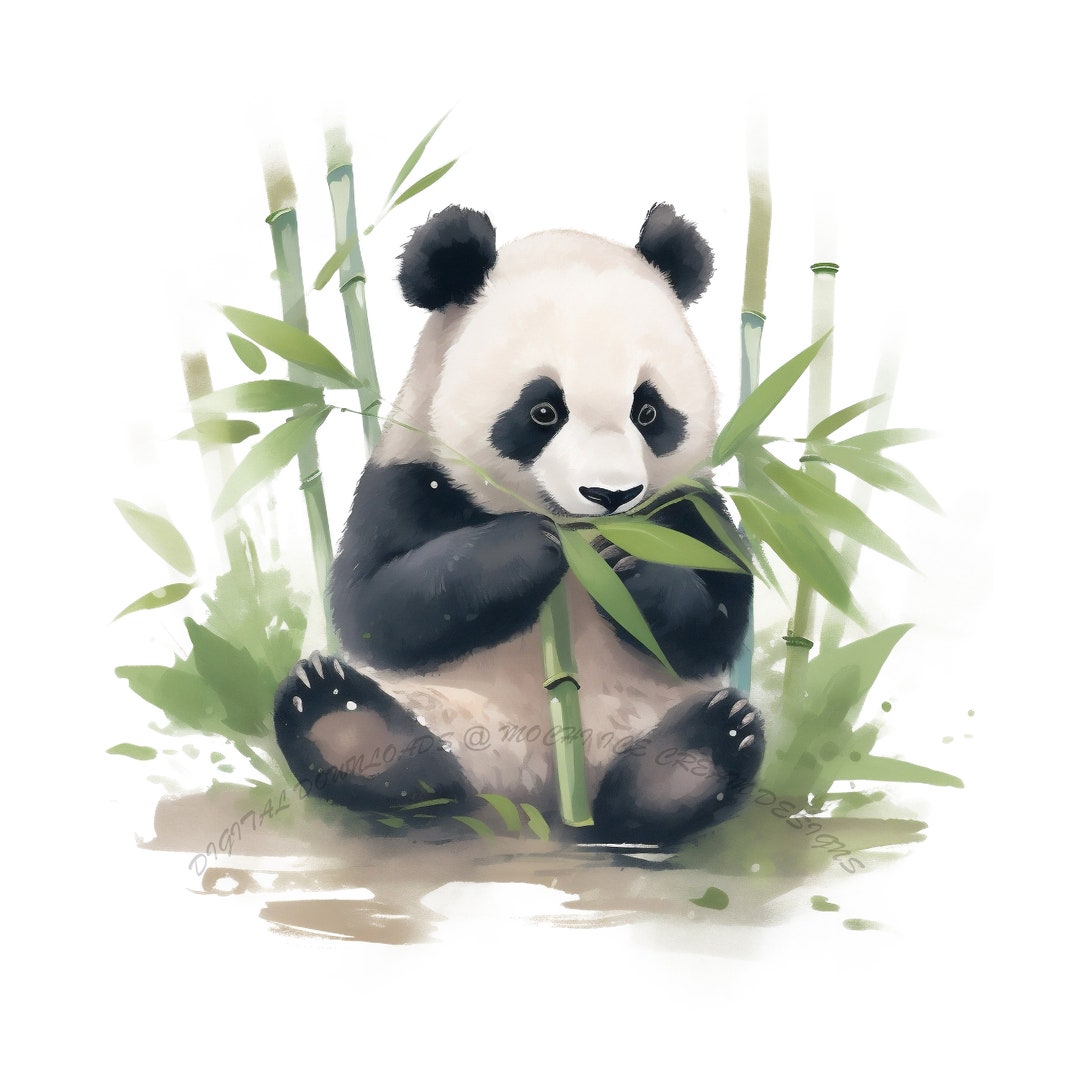 Panda Bear, Cute Panda Bear Clipart, Forest Animals Giant Panda PNG ...