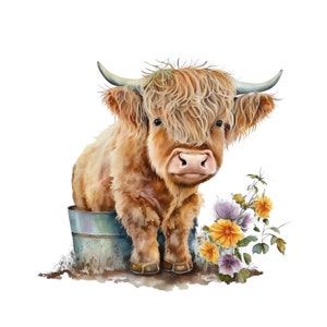 Highland longhaired Cow PNG, cute cow sublimation, flowers PNG graphic, watercolor clipart, cow baby, Highland calf PNG digital download