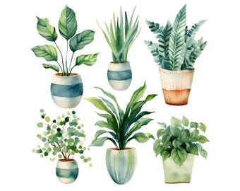 Watercolor House Plants Clipart - Watercolor Gardening Download - Instant Download - Philadendrum - Dangling Vines - Fern - Snake Plant