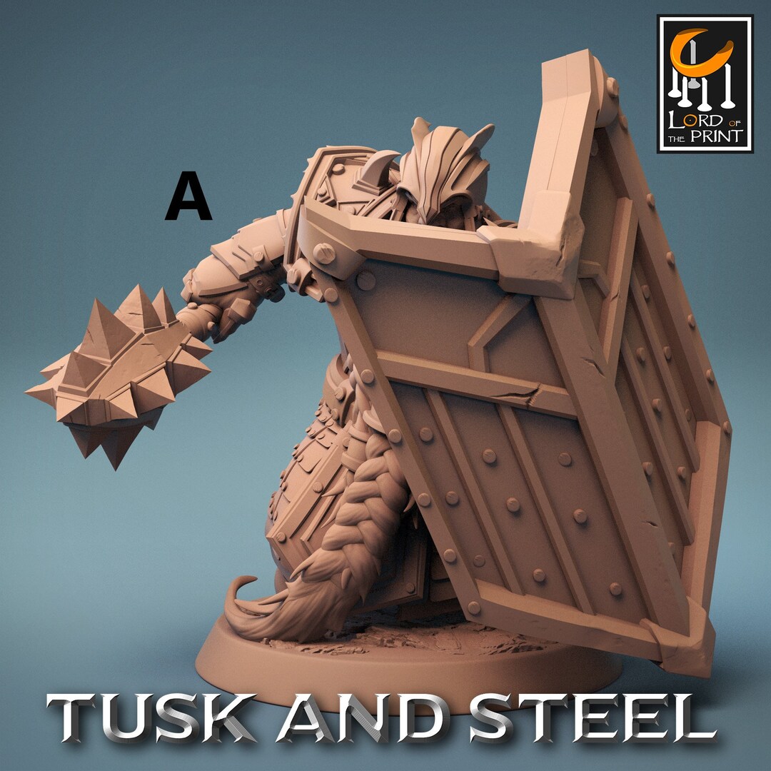 Dwarven Shield Bearers helmets 10 Poses by Lord of the Etsy