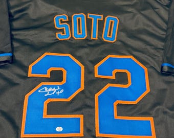 マイク・ピアッツァ ニューヨーク・メッツ 直筆サイン入り 野球