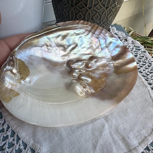 Abalone Shell #1 - Cleansing/Altar