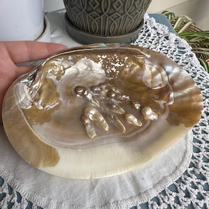 Abalone Shell #3 - Cleansing/Altar