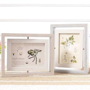 Peut inclure: Deux cadres photo en bois blanc avec un design à double cadre. Les cadres sont sur une surface beige à rayures. Le cadre de gauche présente une illustration botanique d'un arbre avec le texte "Juglans Regia" et le cadre de droite présente une illustration botanique d'un arbre avec le texte "Pyrus".